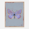 Framed artwork of a butterfly on a light blue background
