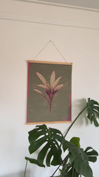 Unframed Art print Sage Magic Plants