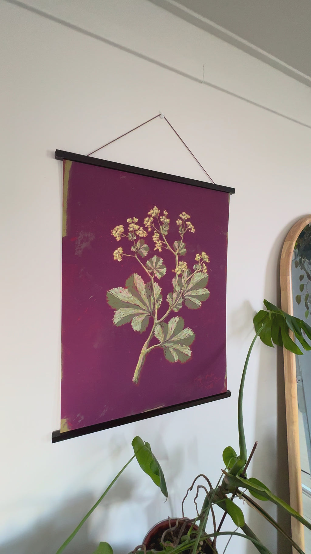 Framed Art print Lady's Mantle Magic Plants