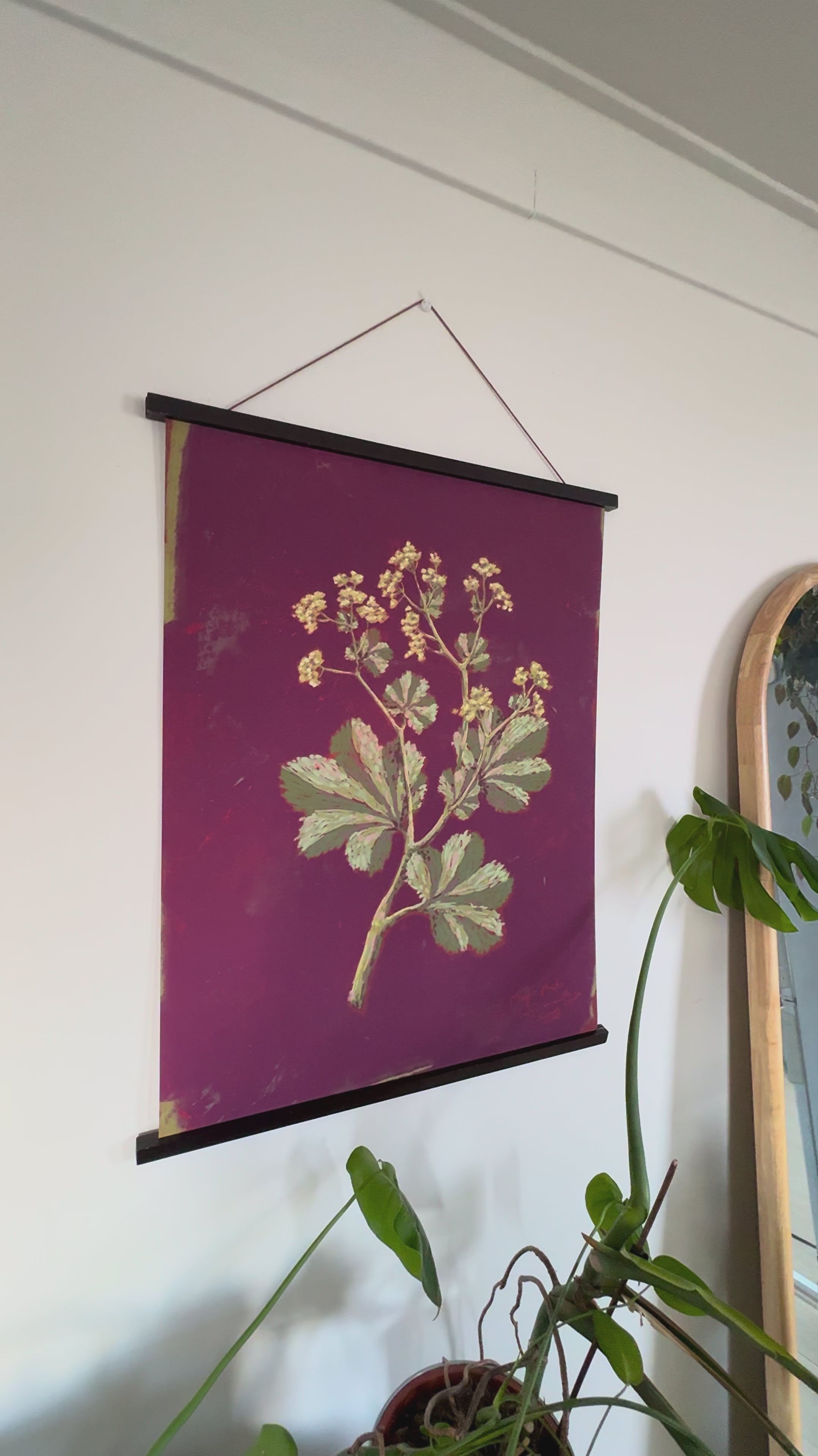 Art Print with hanger Lady's Mantle Magic Plants