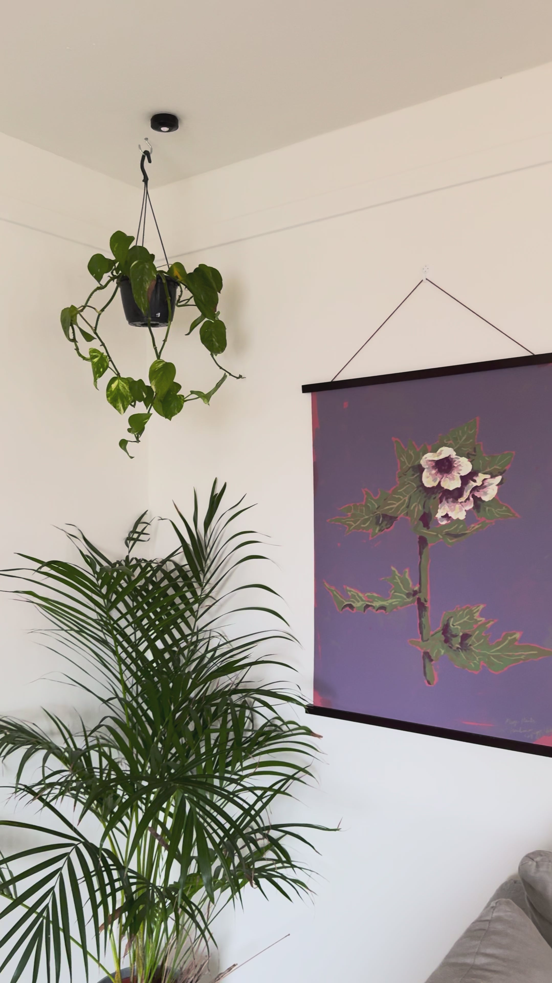 Art print with hanger Henbane Magic Plants