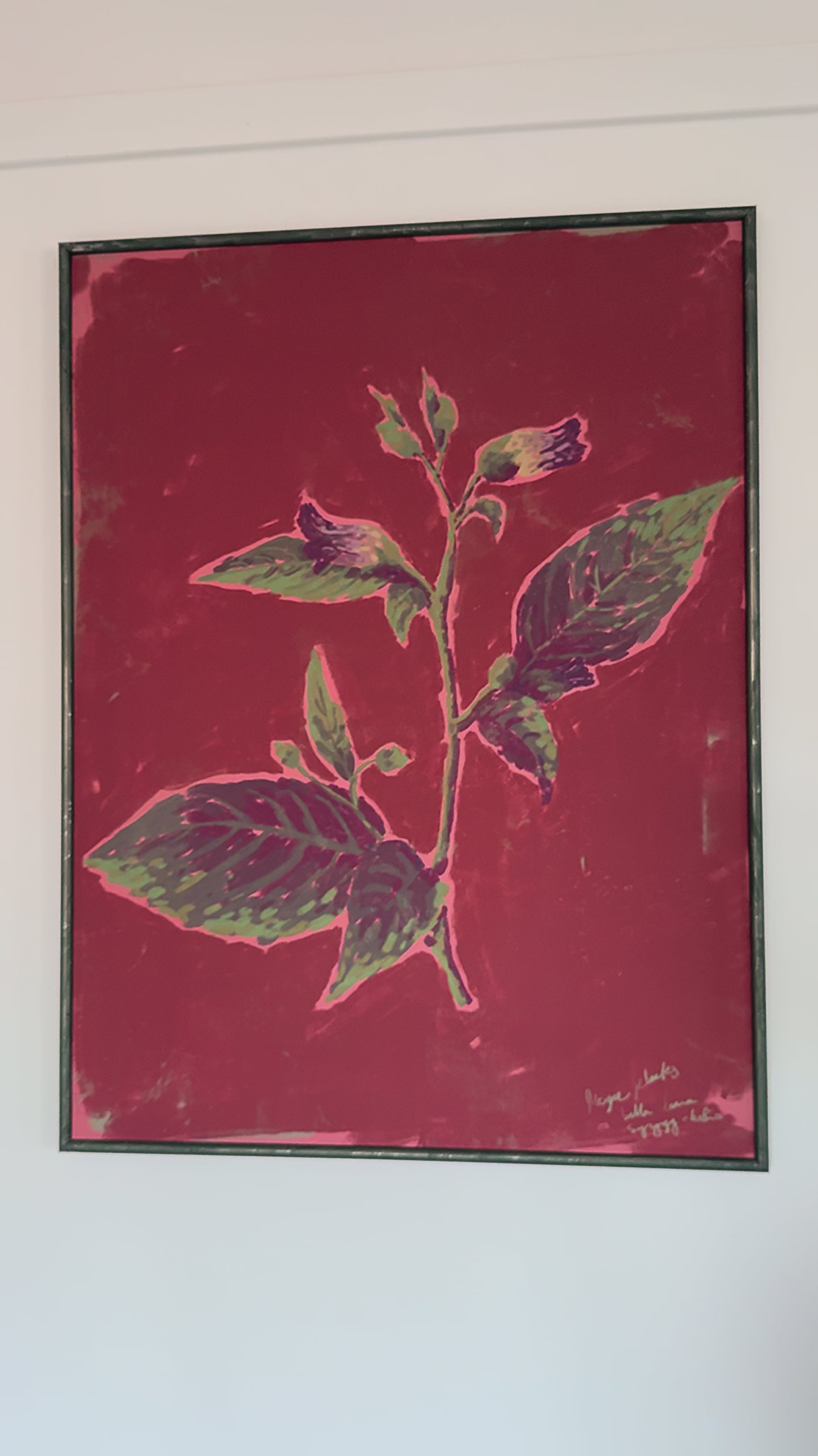 Art print with hanger Belladonna Magic Plants