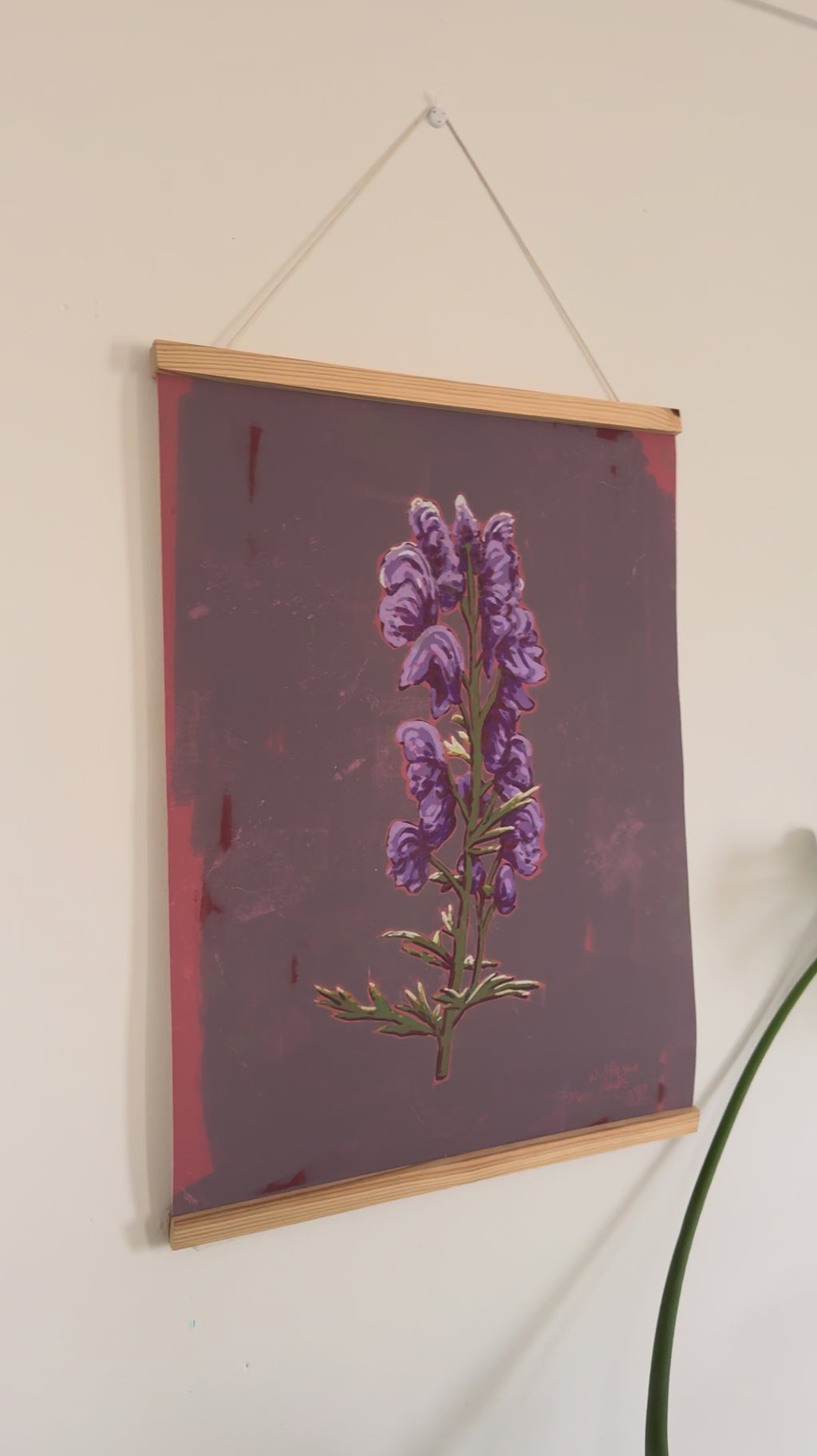 Unframed Art print Wolfsbane Magic Plants