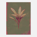 Artistic depiction of a sage plant with red and green leaves on a textured green and pink background