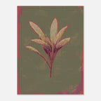 Artistic depiction of a sage plant with red and green leaves on a textured green and pink background