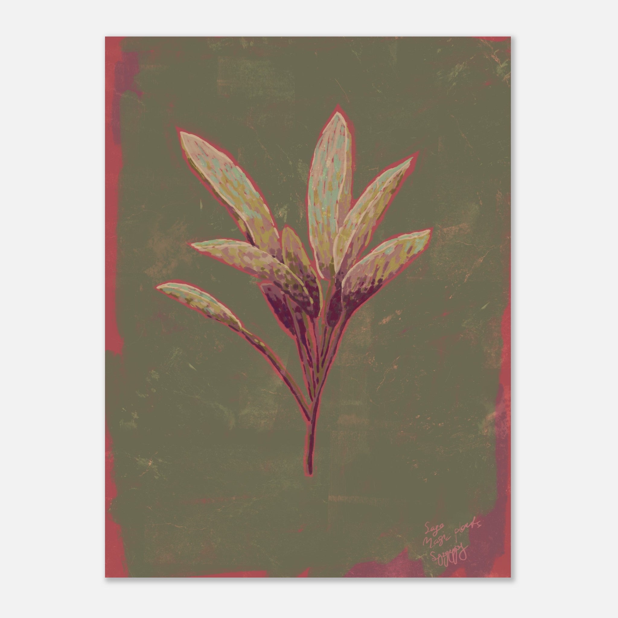Artistic depiction of a sage plant with red and green leaves on a textured green and pink background